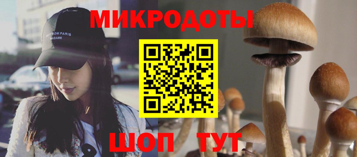 Галлюциногенные грибы Psilocybine cubensis Спасск-Дальний