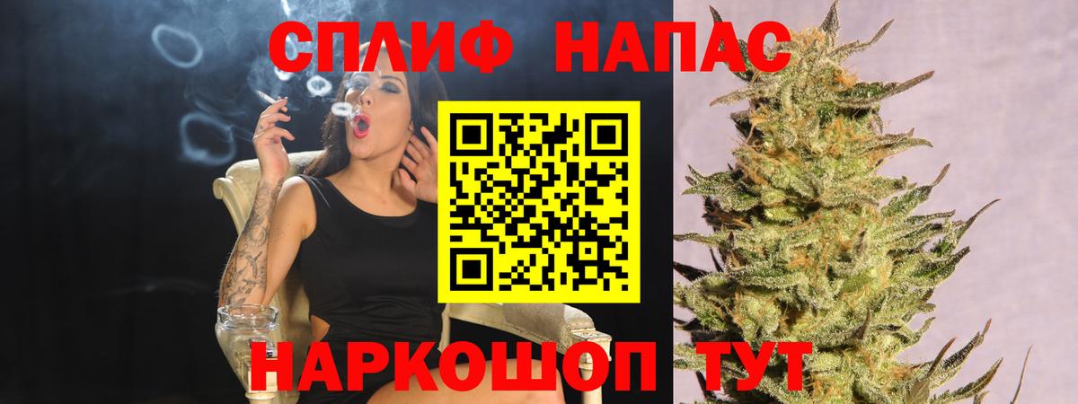 Каннабис индика  Канабис индика  Вход с VPN  Спасск-Дальний  Конопля планчик 